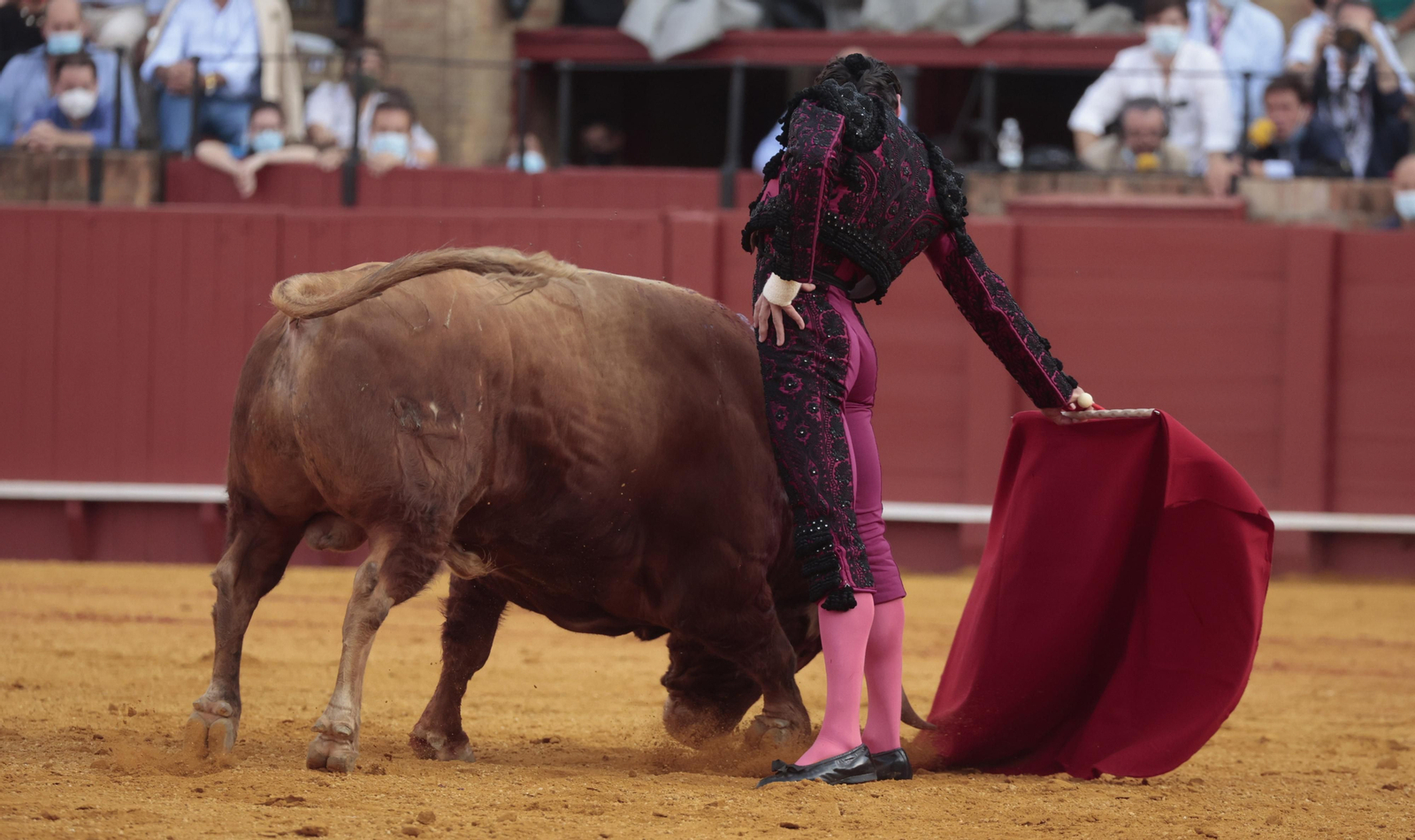 Las imágenes del triunfo de Morante en San Miguel