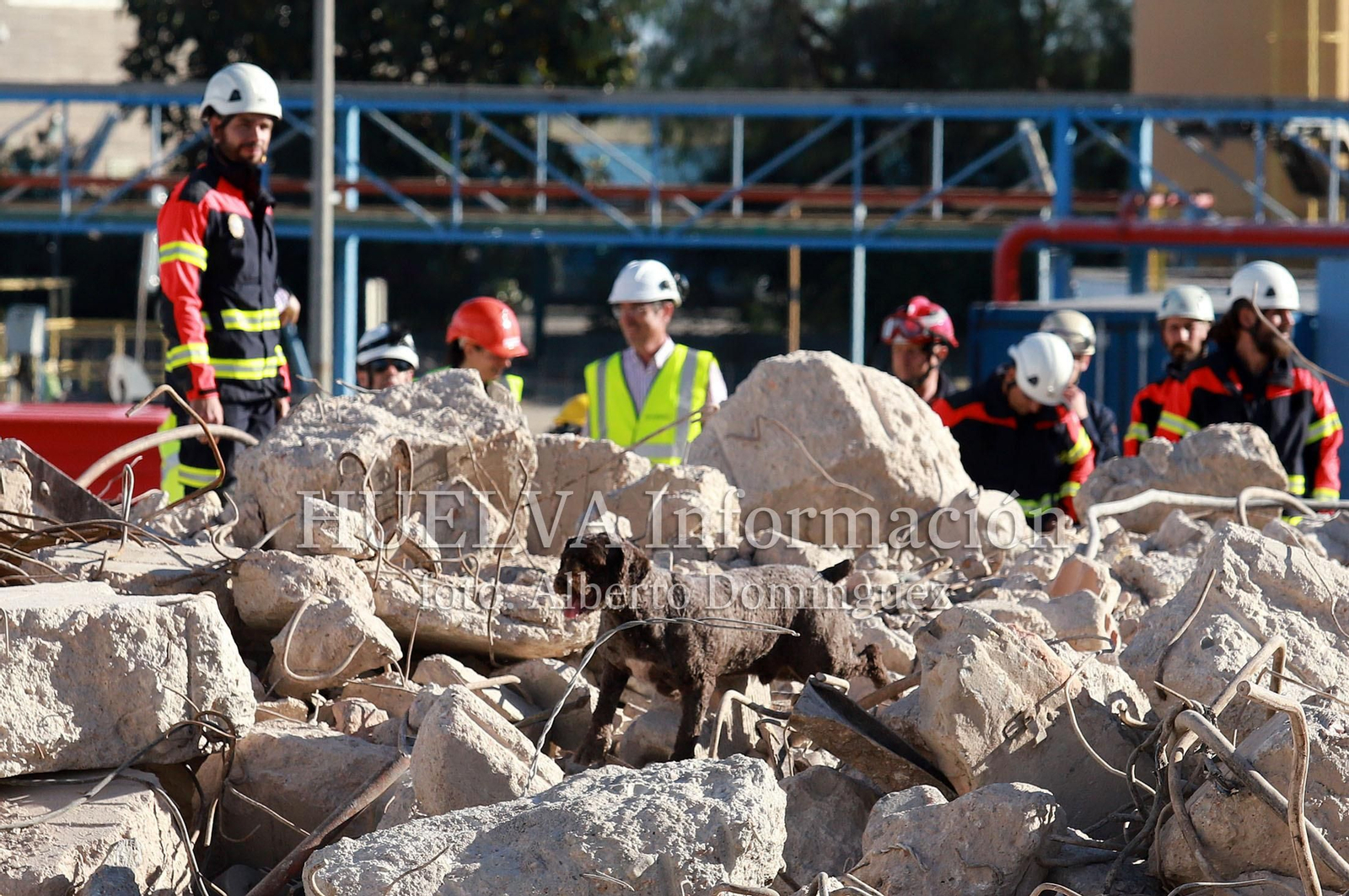 Imágenes del simulacro de los Bomberos de Huelva con la Unidad Canina