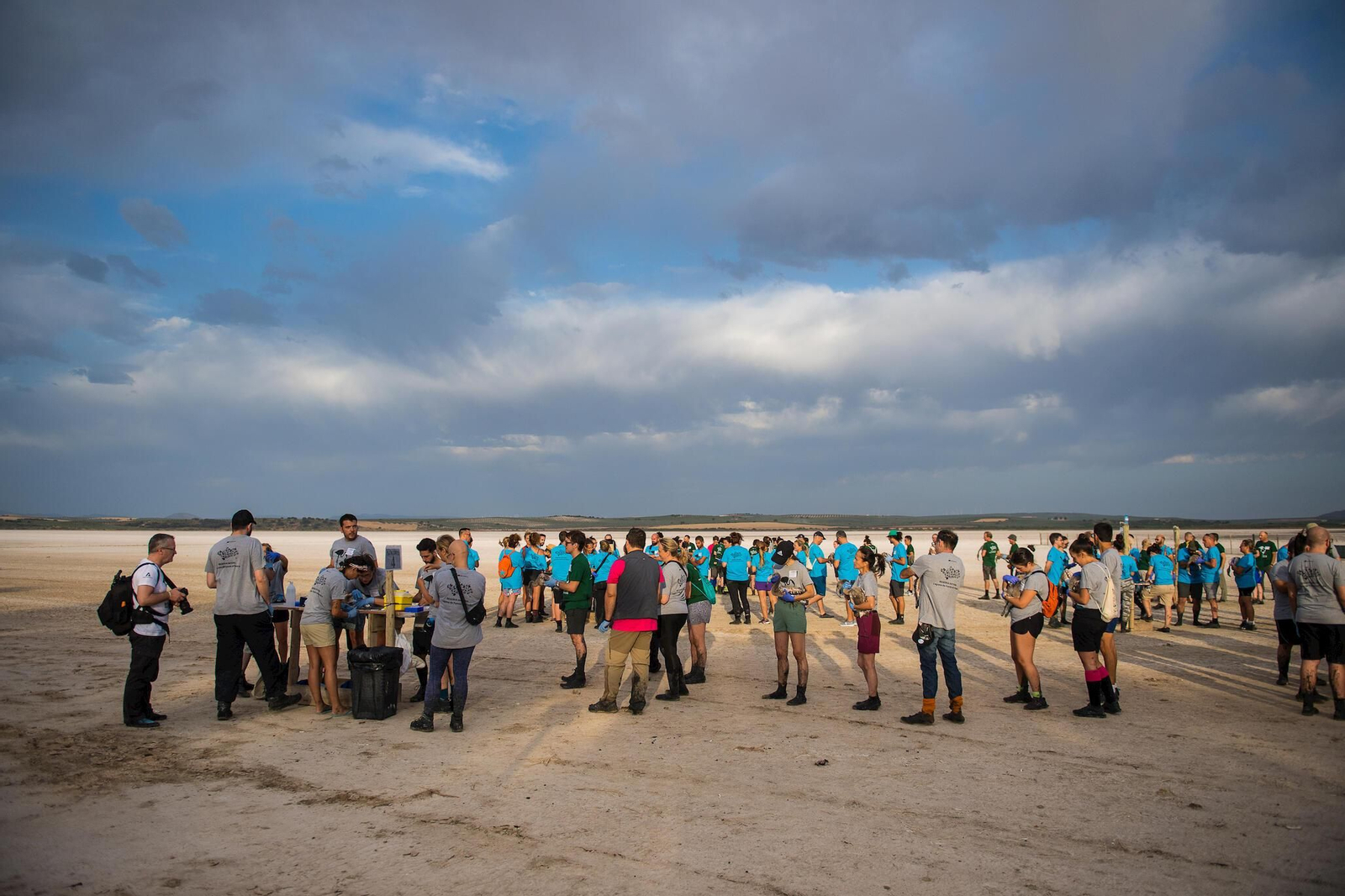 Flamencos en la Laguna de Fuente de Piedra durante el anillamiento (fotos)