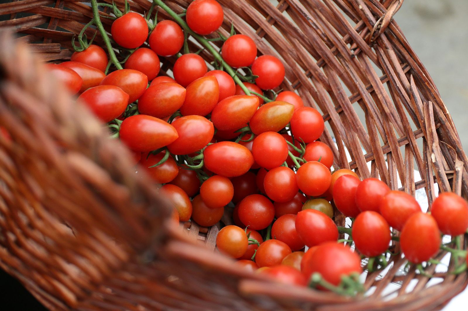 Fotogalería de la presentación del expositor 'Sabores Almería' en Madrid Fusión 2022