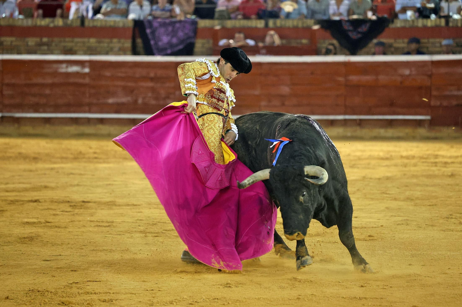 Toros La Merced 2025: Imágenes de la Corrida de Toros de Morante de la Puebla, Daniel Luque y Juan Ortega