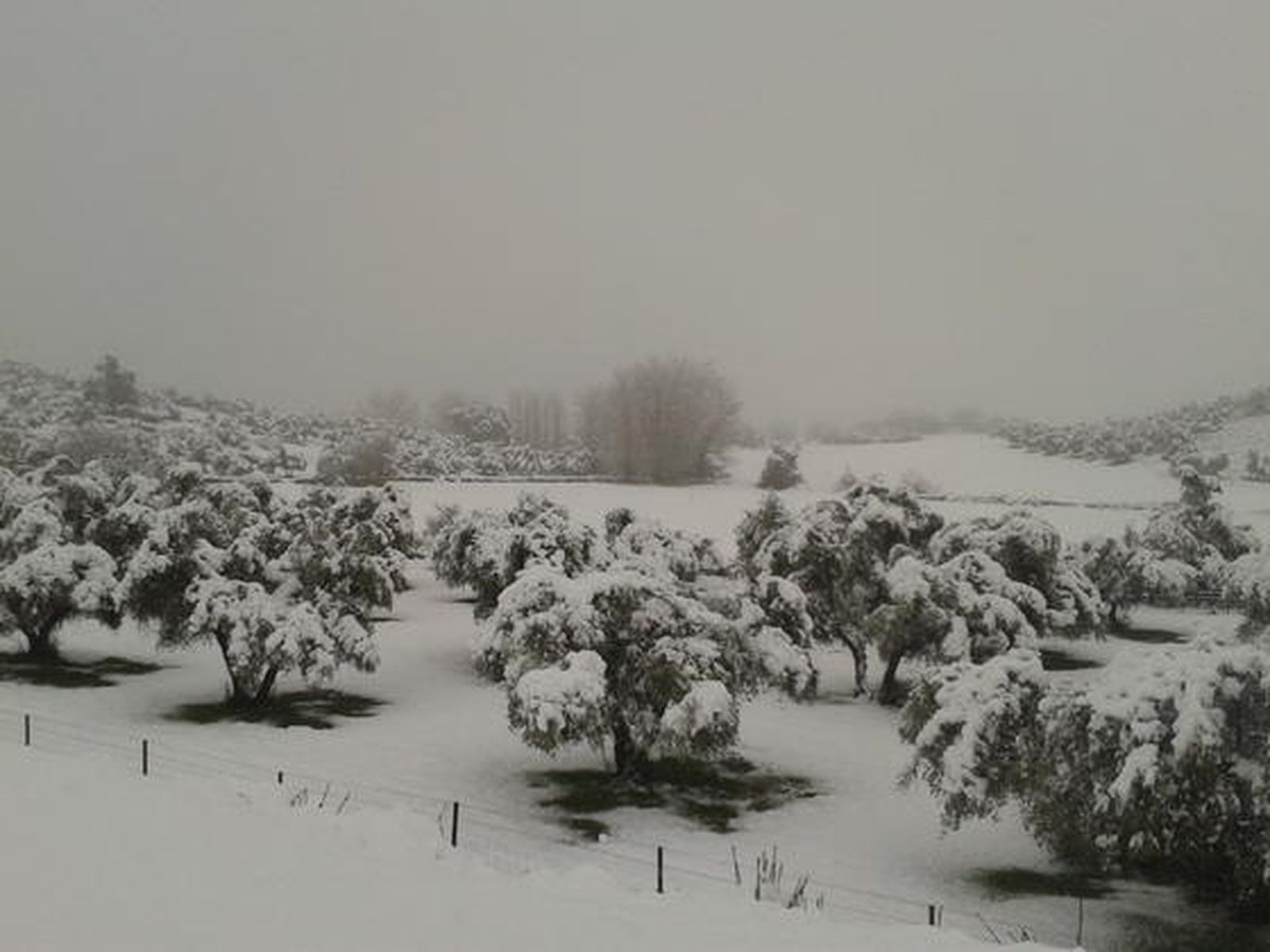 Cazalla de la Sierra.

Foto: Monte Osorio