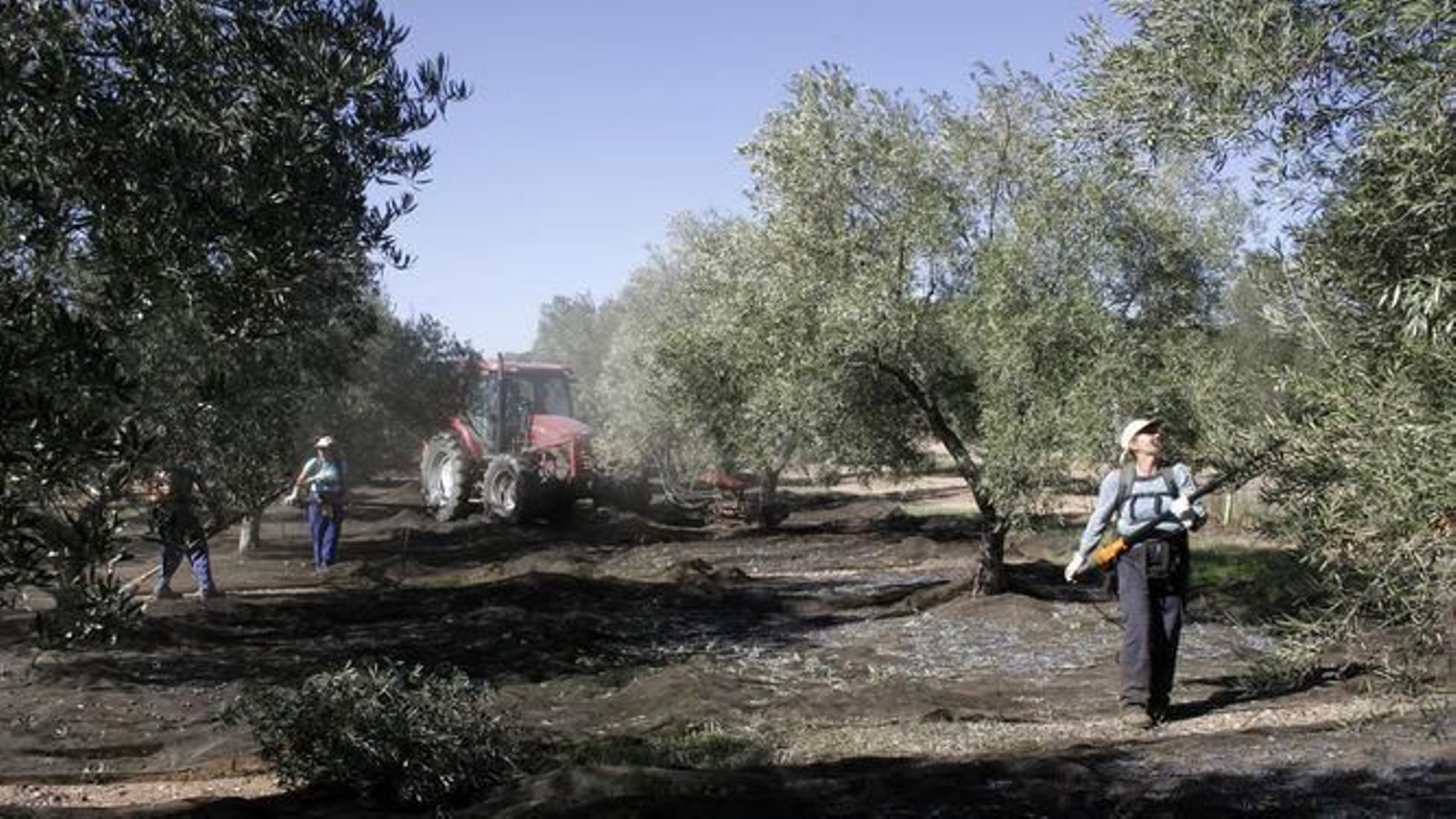 La campaña navideña y el campo dejan una bajada del paro del 4%