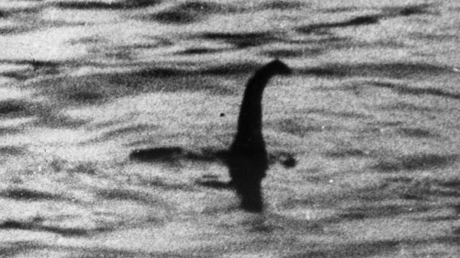 Imagen de un supuesto avistamiento de 'Nessy' que nunca se llegó a confirmar.
