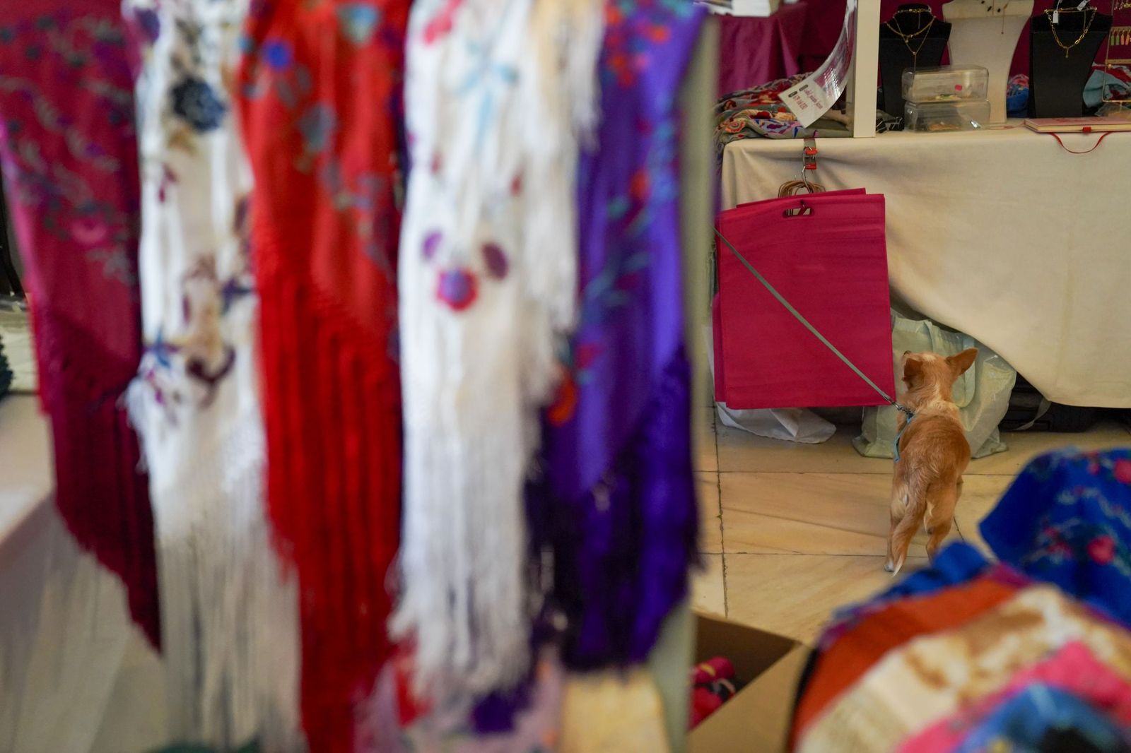 Las fotos del Rastrillo Nuevo Fututo en el Casino de la Exposición