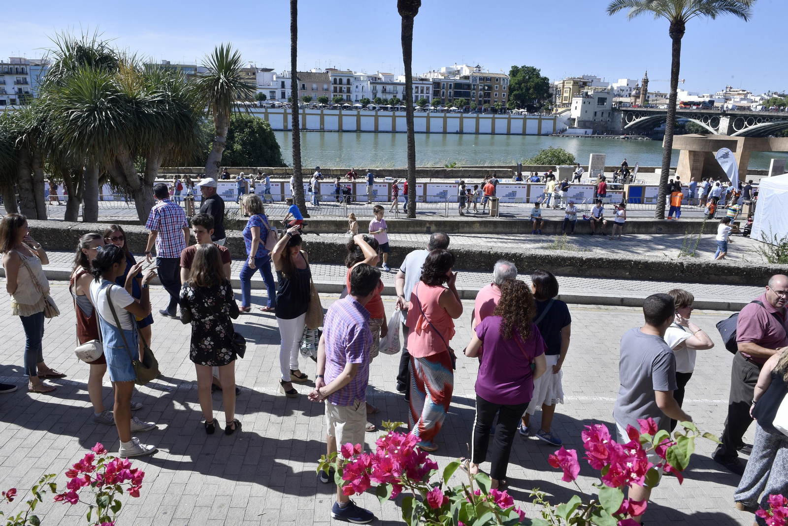 La barra de tapas más larga del mundo, en Sevilla