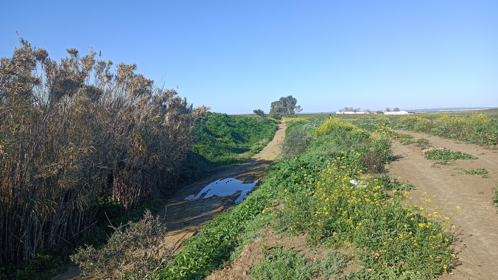 Si ha llovido hace poco, es posible que algunos tramos estén encharcados .