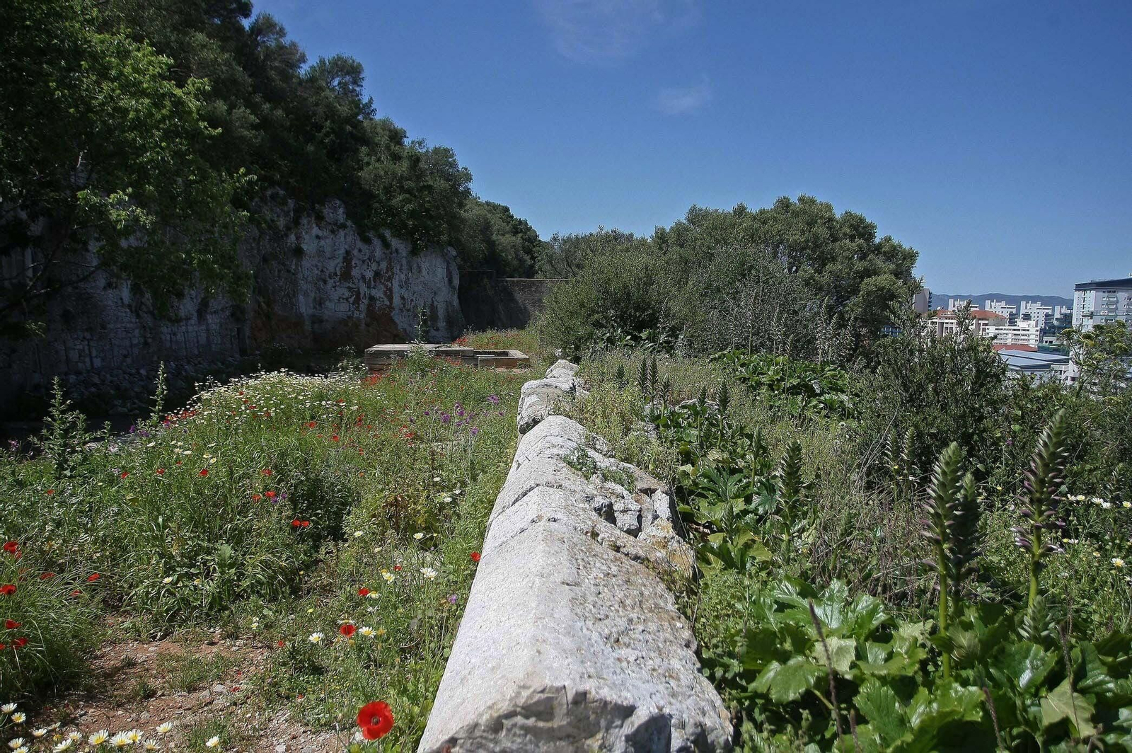Las Defensas del Norte de Gibraltar, en imágenes