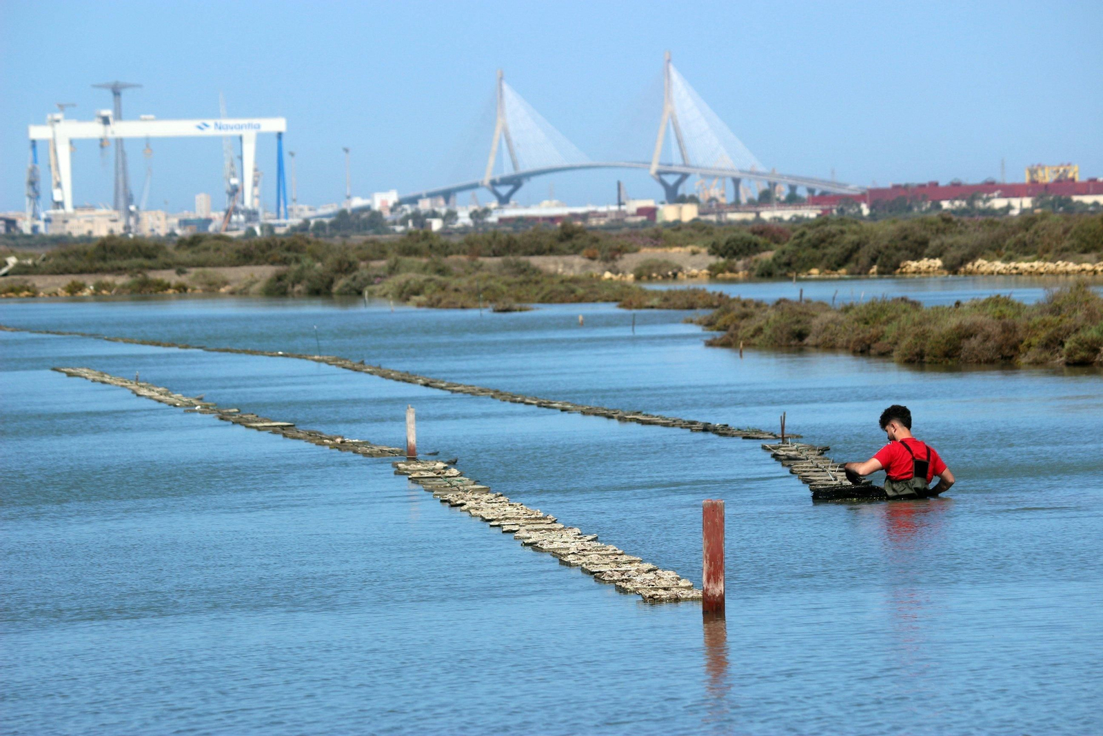 Salinas de Belén, en Puerto Real, donde trabaja Estero Natural