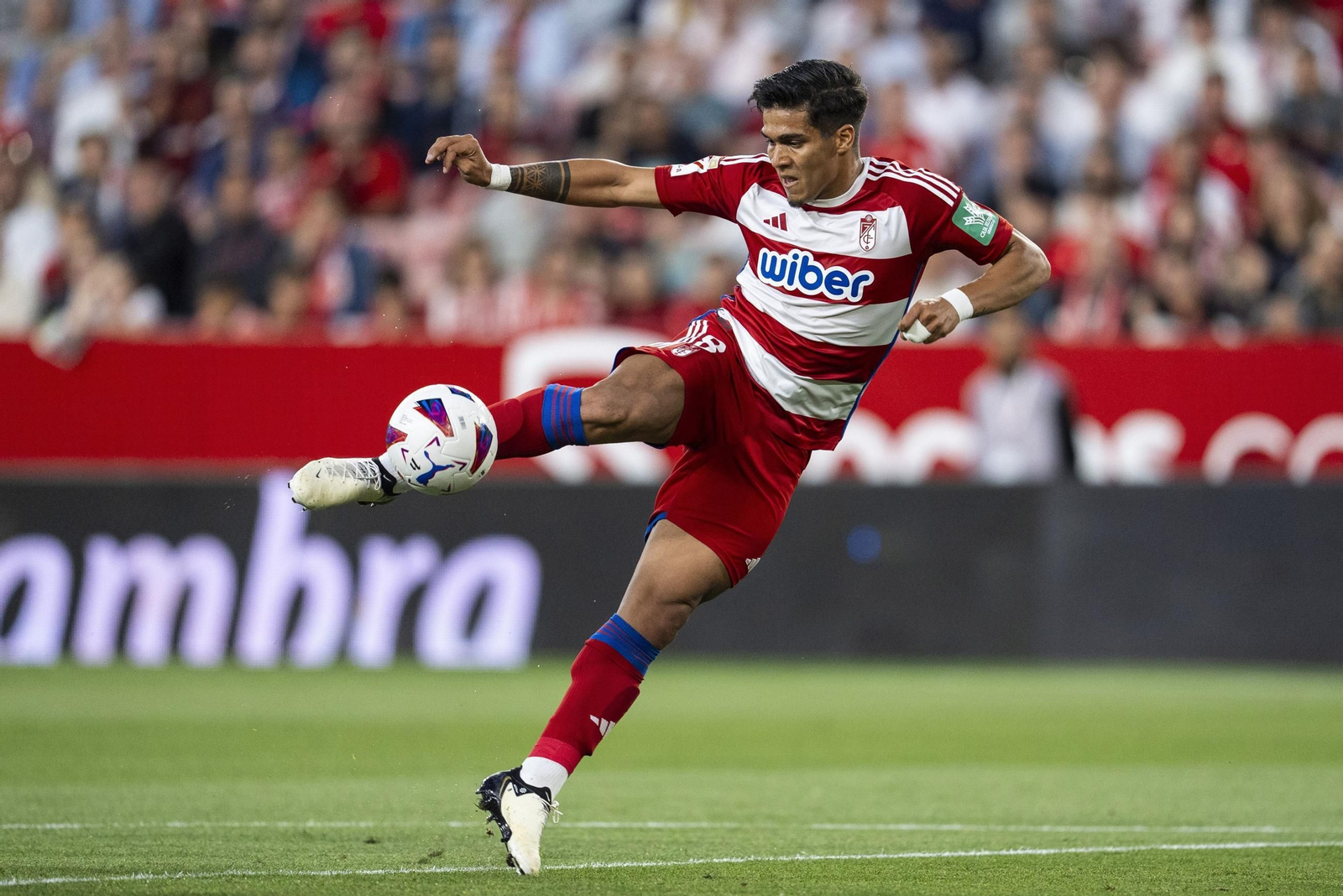 Matias Arezo disputó su último encuentro como titular en el Granada CF ante el Sevilla FC. Matias Arezo disputó su último encuentro como titular en el Granada CF ante el Sevilla FC.