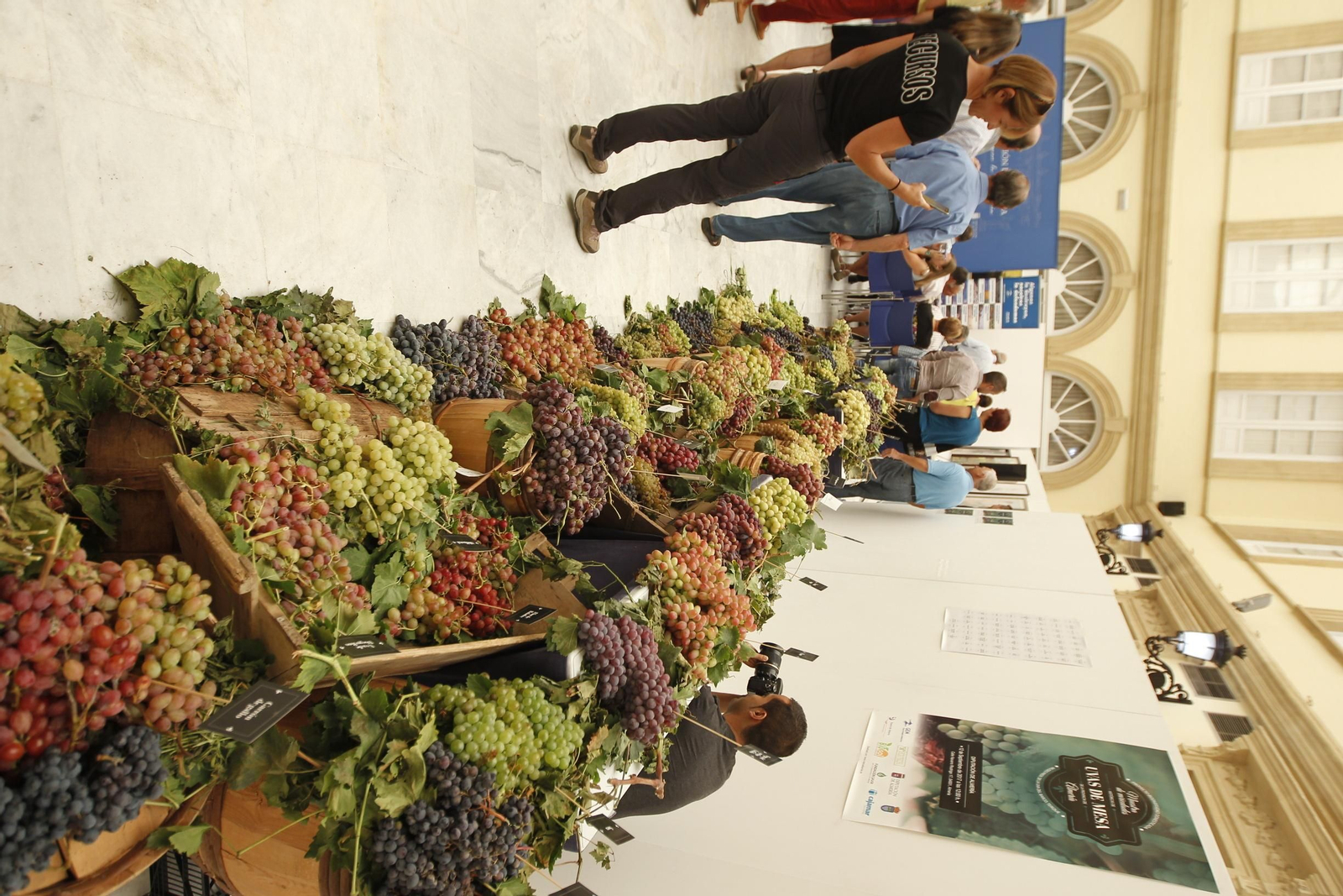 Las imágenes de la XIII Muestra de Variedades Históricas de Uvas de Mesa de la Provincia