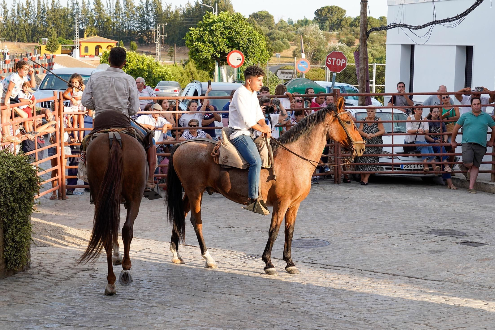Las imágenes más destacas de la recogida de las yeguas en Hinojos