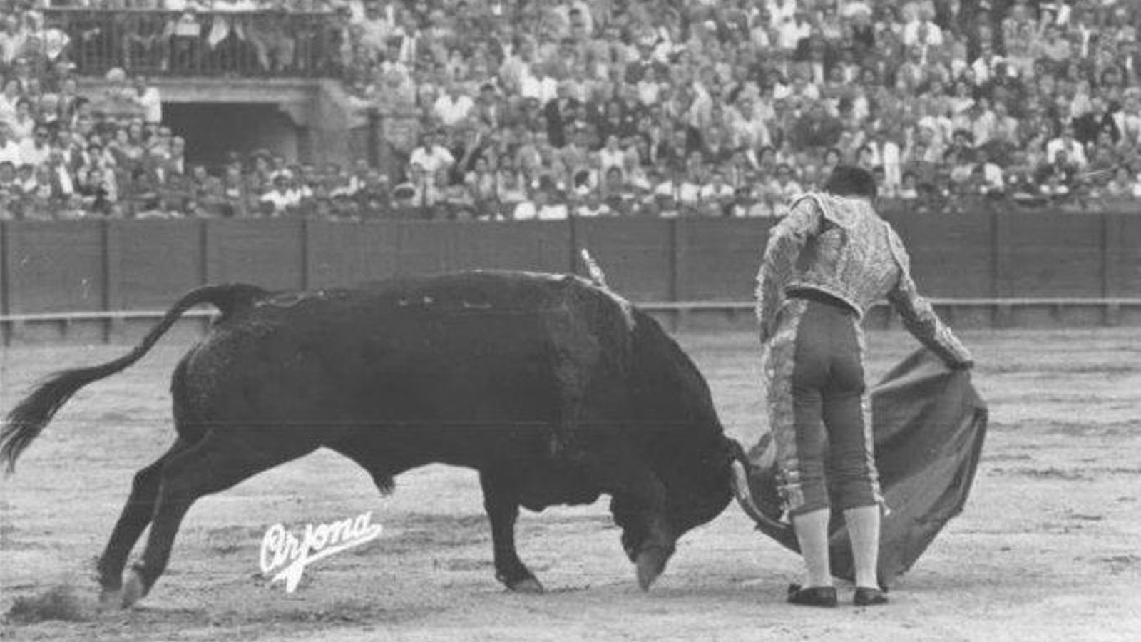 Antonio Bienvenida toreando en la plaza de la Maestranza
