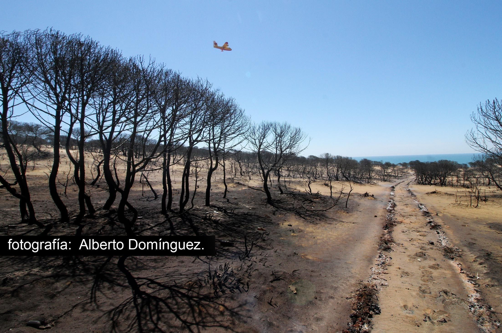 Imágenes de Cuesta Maneli tras el incendio.
