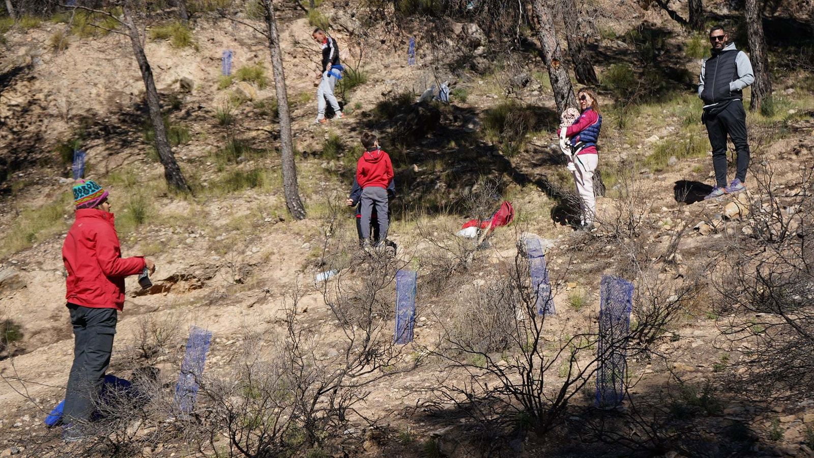 Participantes tras llevar a cabo la plantación de los árboles.