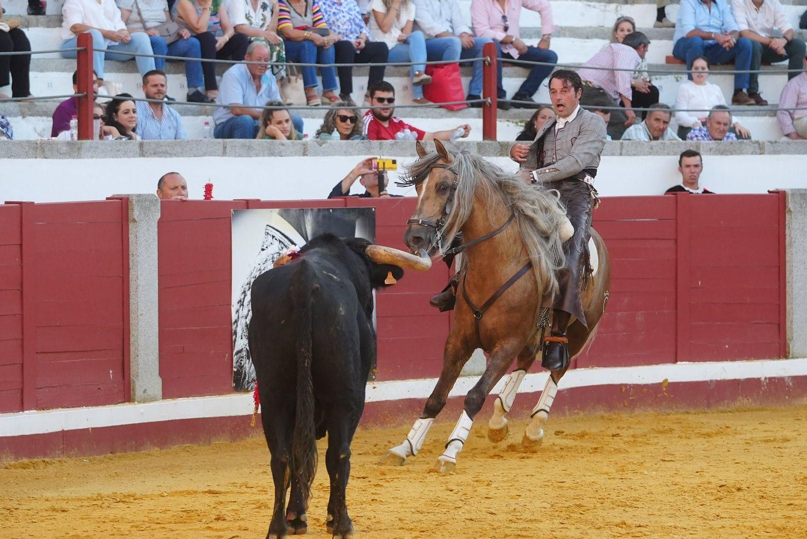 Las mejores fotos de la faena triunfal de Andy Cartagena, Leonardo y Lea Vicens en Pozoblanco Las mejores fotos de la faena triunfal de Andy Cartagena, Leonardo y Lea Vicens en Pozoblanco