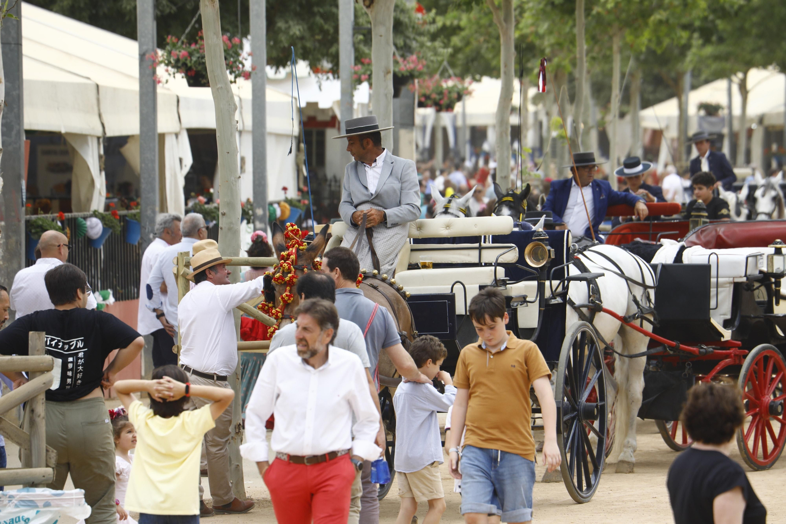El domingo de Feria en Córdoba, en imágenes