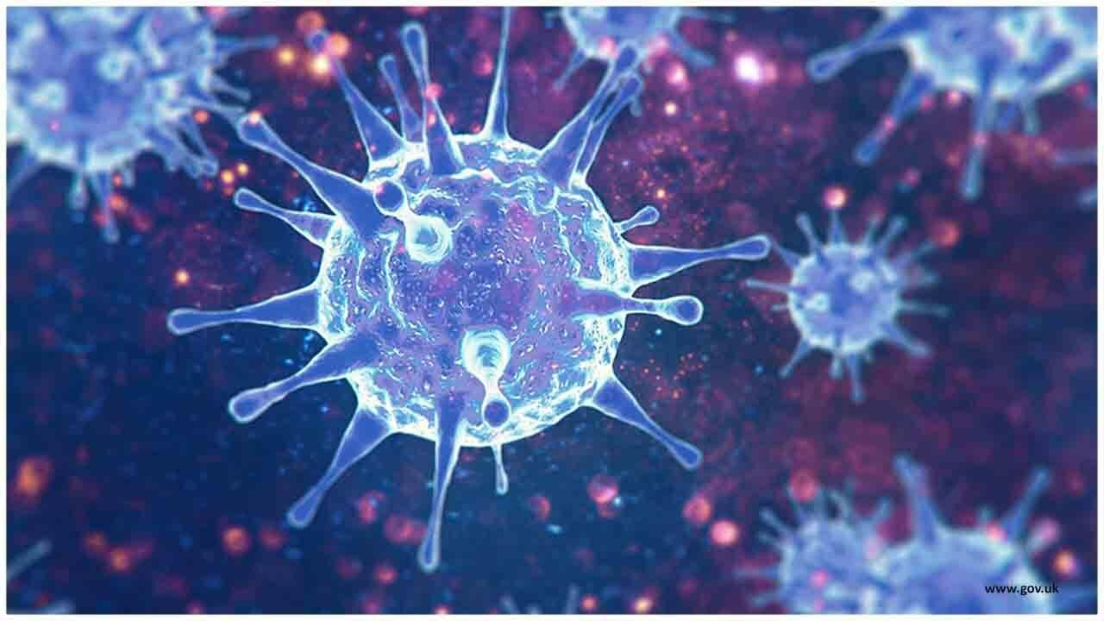 El director general de la OMS ha comunicado que esta variante podría estar detrás del aumento de casos  en Sudáfrica.