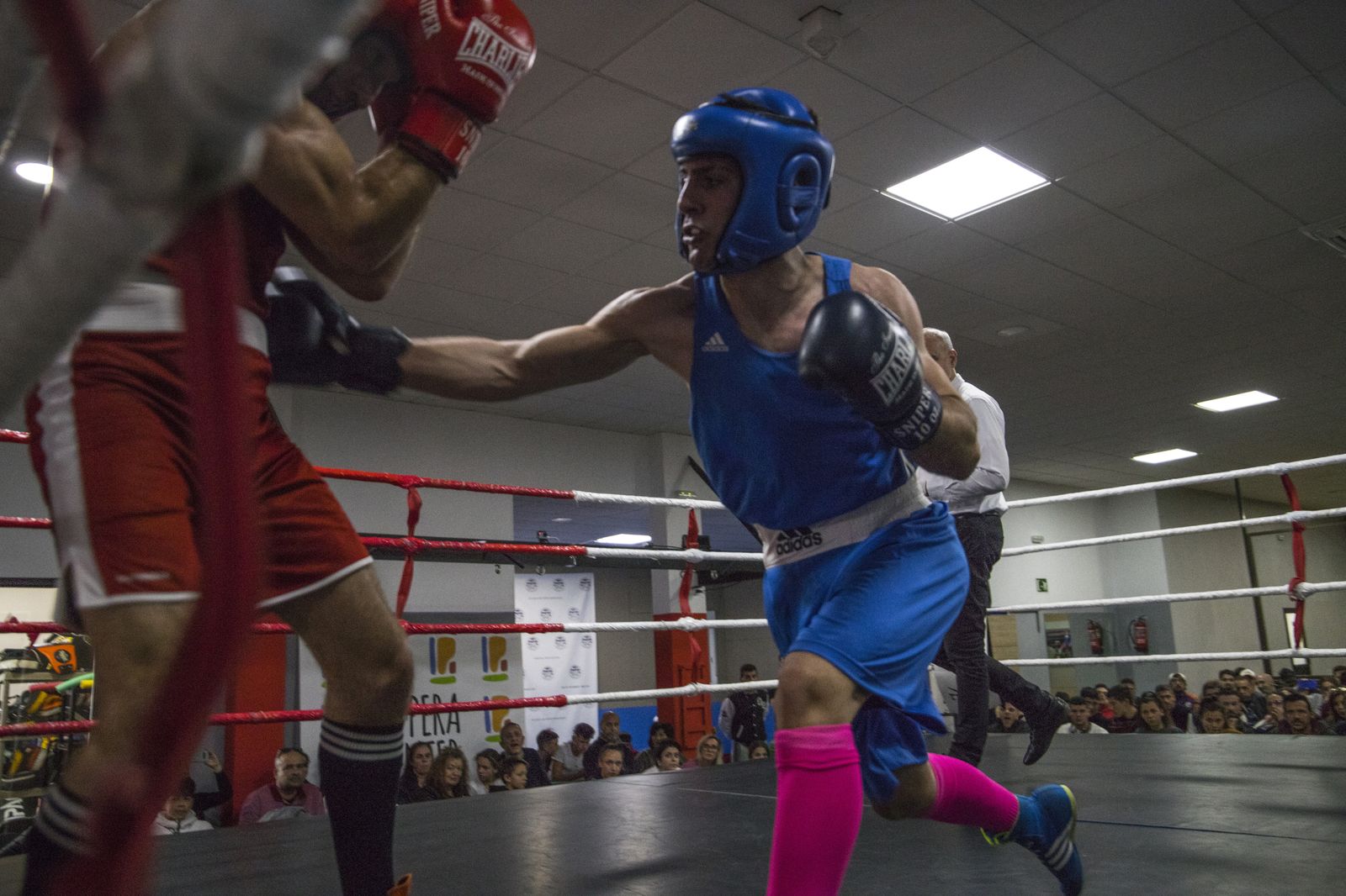 La cantera del boxeo granadino se luce en Armilla