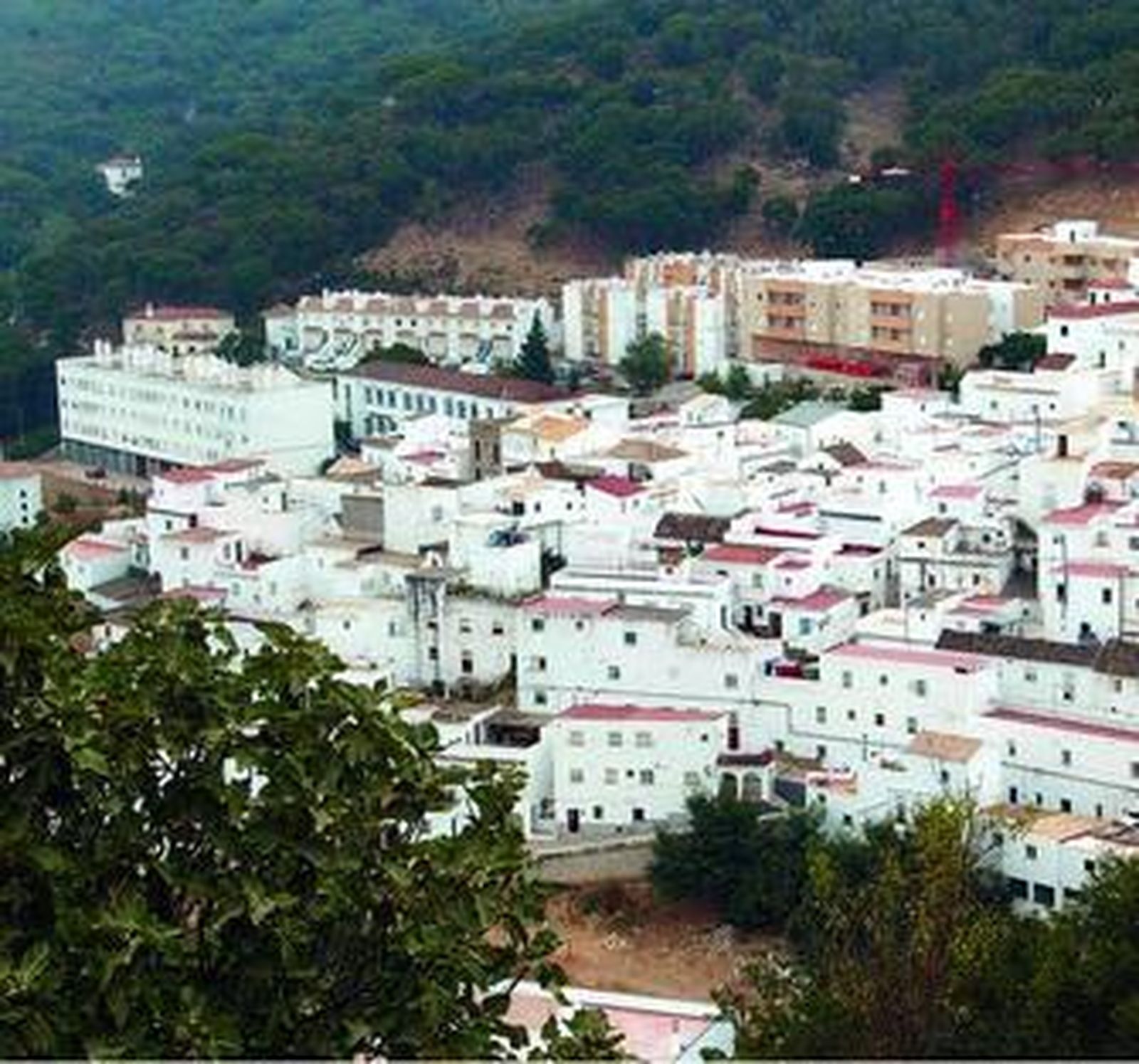 Vista de Alcalá de los Gazules.