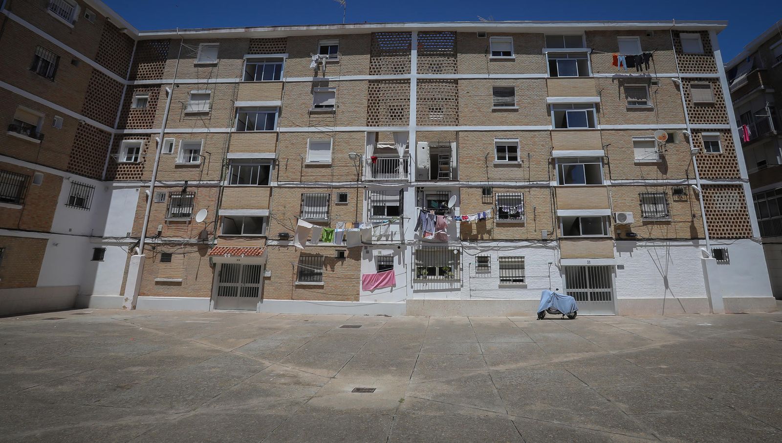 Coronavirus, imágenes del viernes 19 de junio