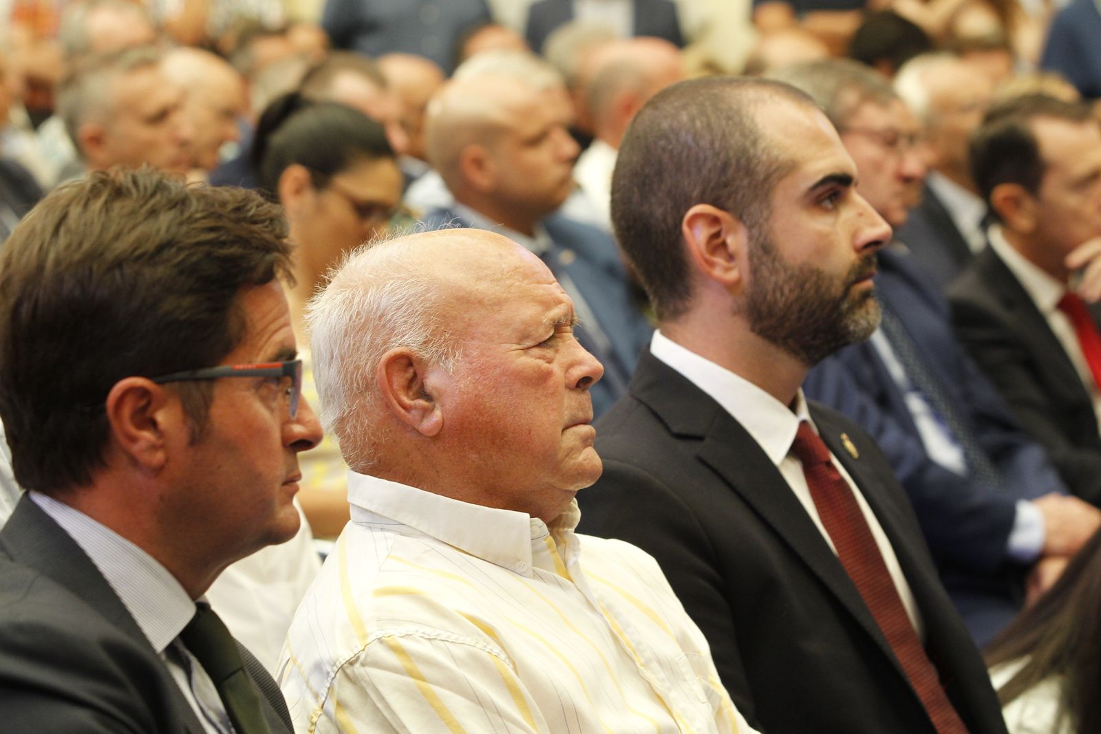 Pleno investidura Presidente Diputación de Almería. Javier Aureliano García