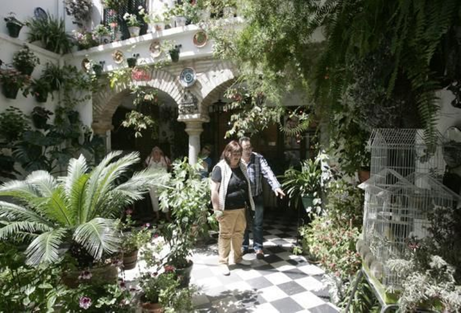 Foto: José Martínez