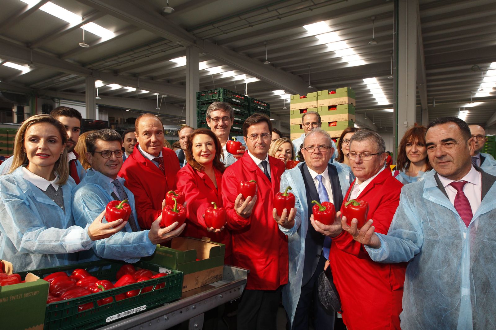 Fotogalería nuevas instalaciones Vicasol 3 en El Ejido