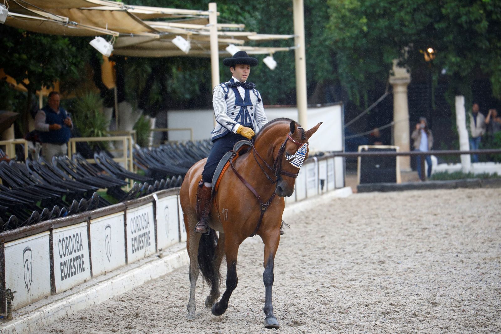La celebración de la VI Copa de España de Alta Escuela en Córdoba, en imágenes