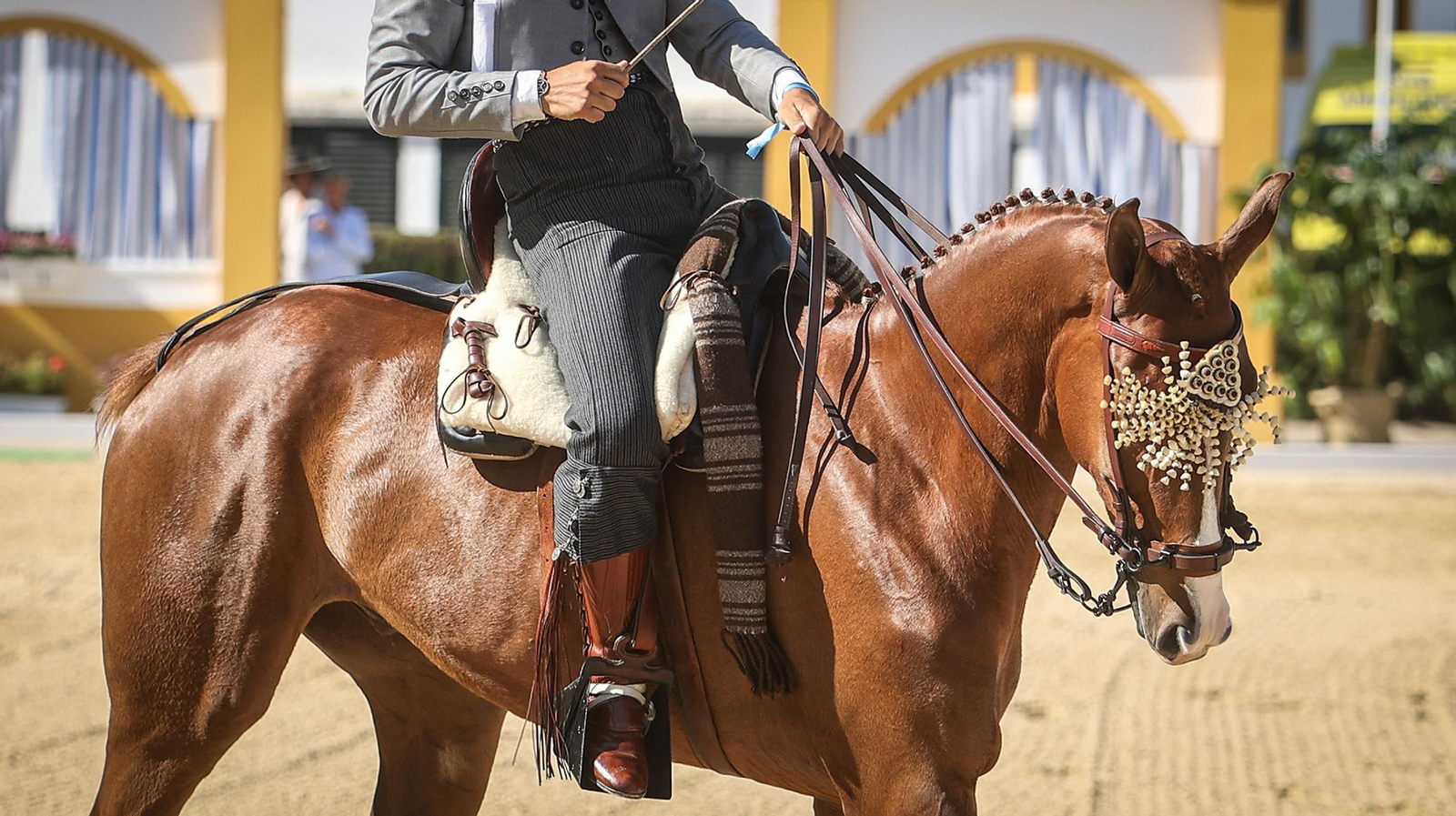 Imágenes de la XVI Copa de S.M. el Rey de Doma Vaquera
