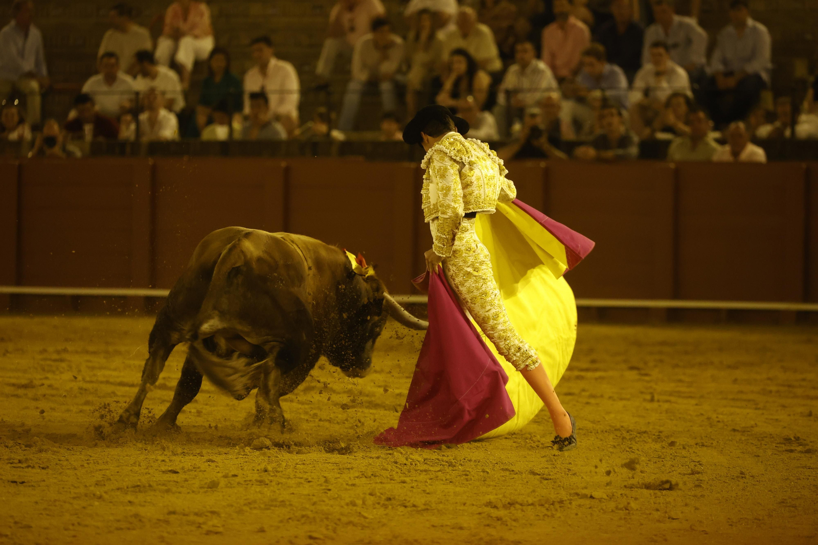 Las imágenes de la novillada en la Maestranza