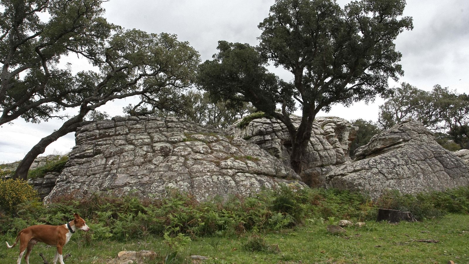 Uno de los hornos comunales de Betijuelo.