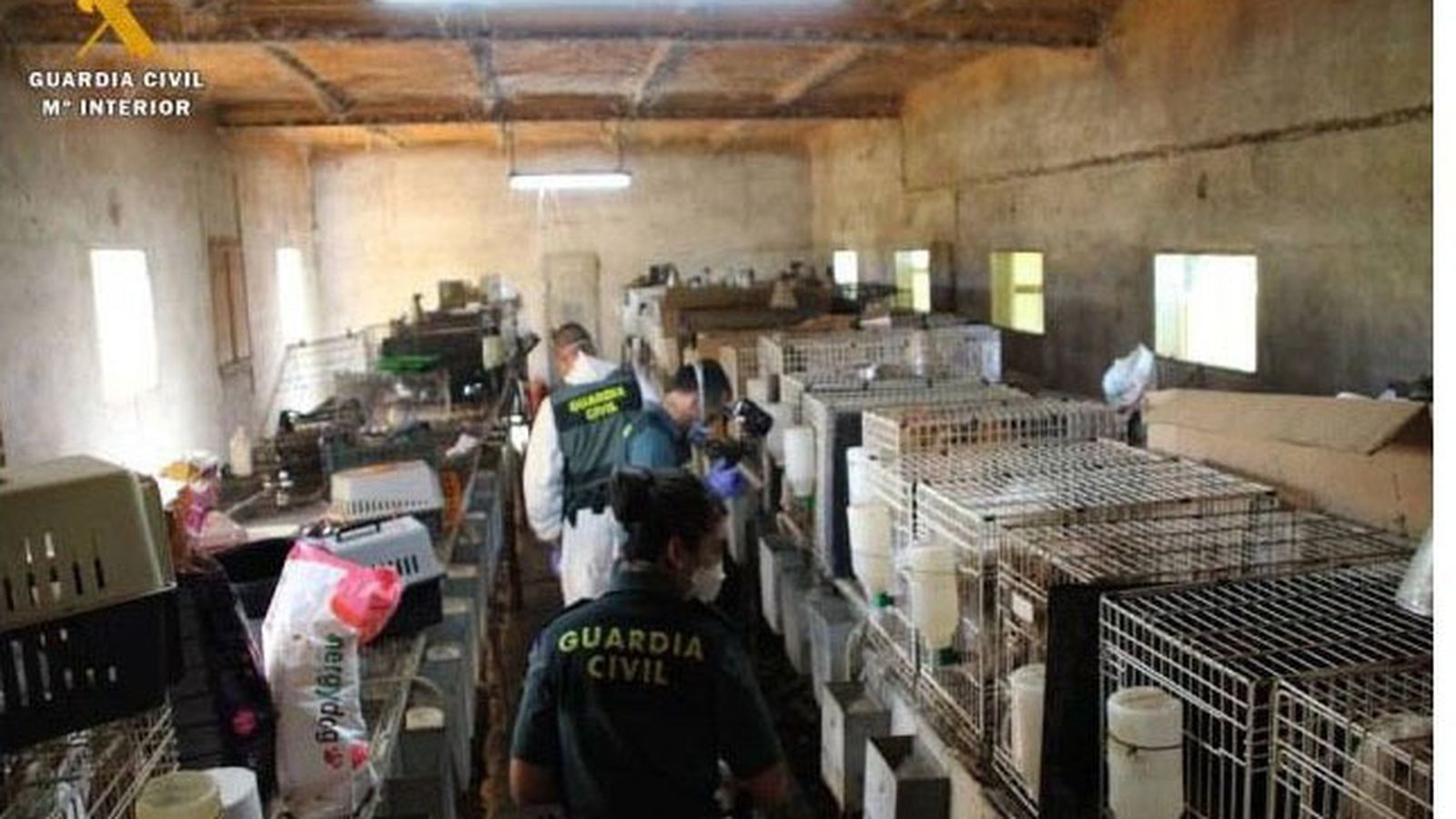 La nave con las jaulas