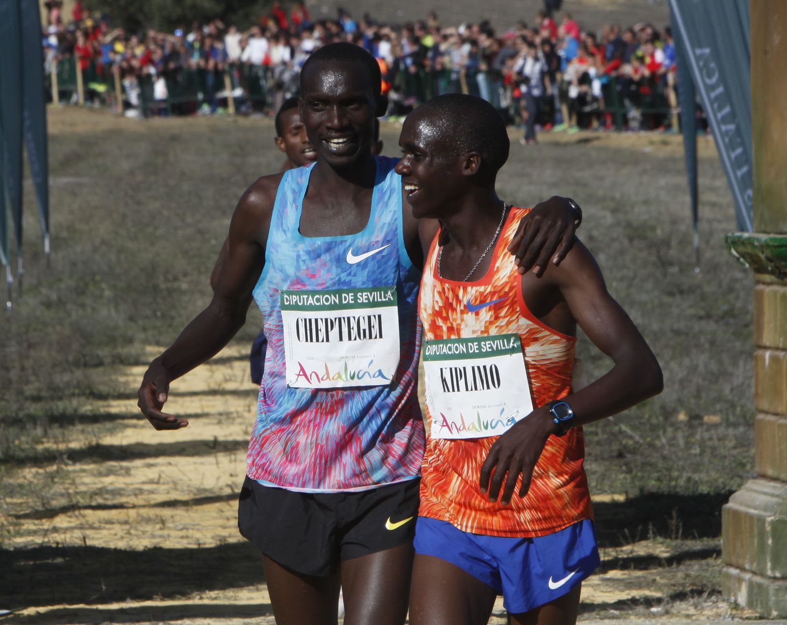 XXXVI edición del Cross Internacional de Itálica