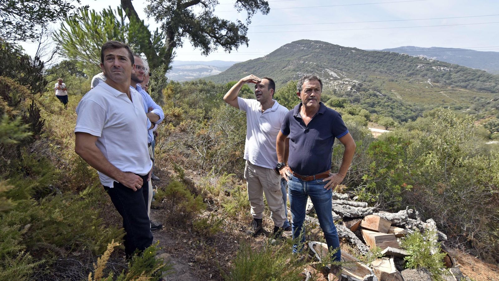 Rafael Sánchez Vela, ingeniero forestal y con la mano en la frente, explica el mal