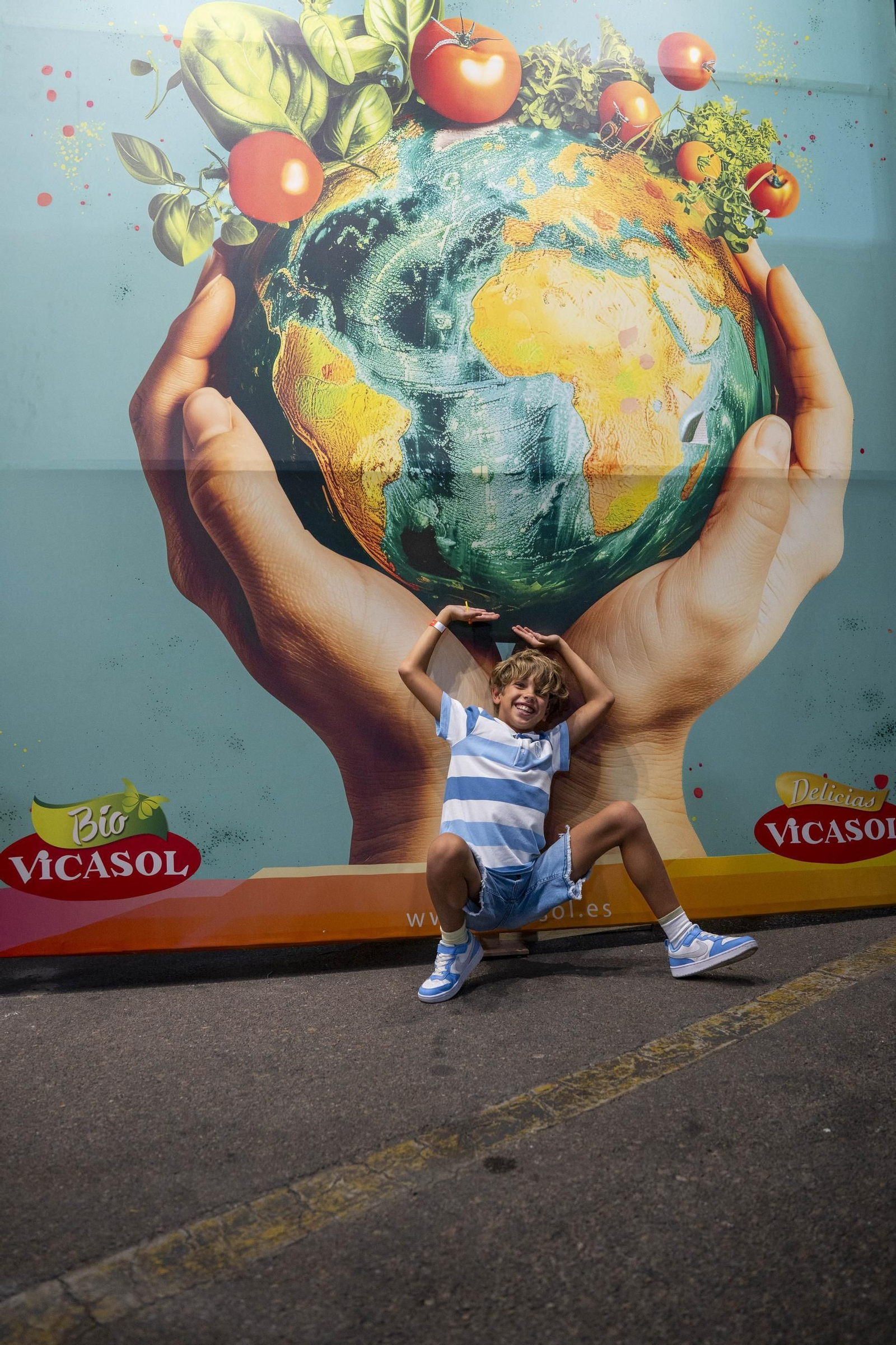 Cena Anual de Vicasol