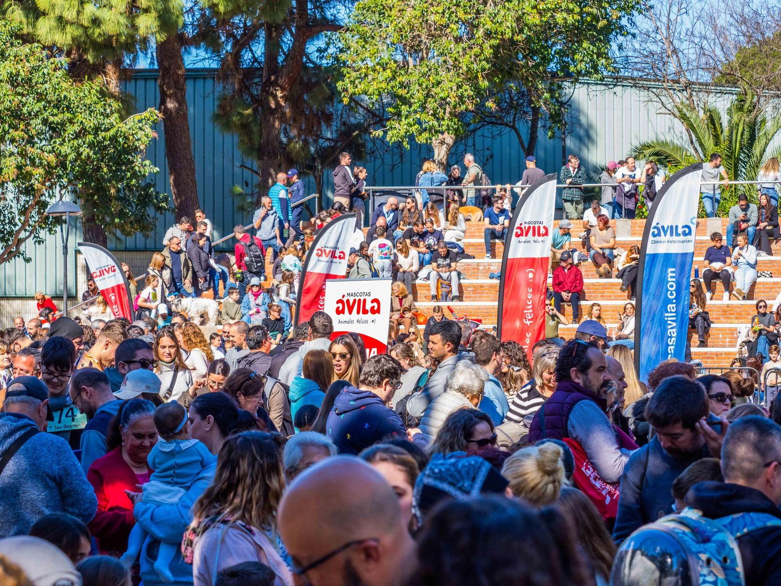 Las imágenes de San Antón 2025 en San Fernando