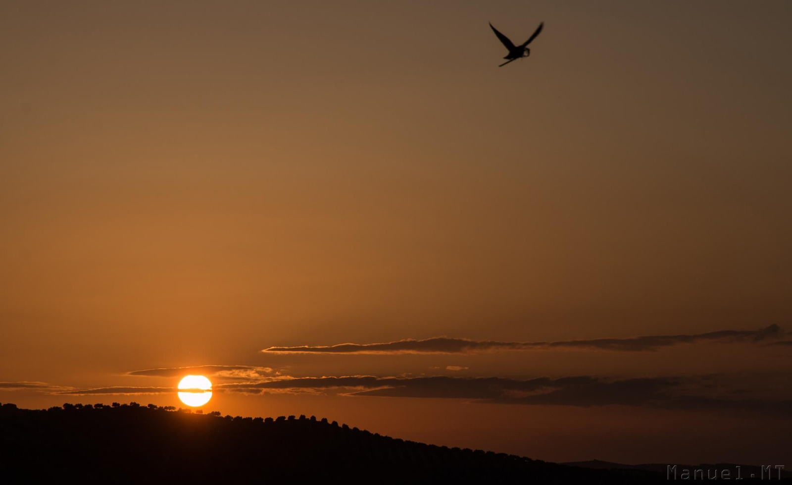 Así es el cielo de la campiña de Córdoba