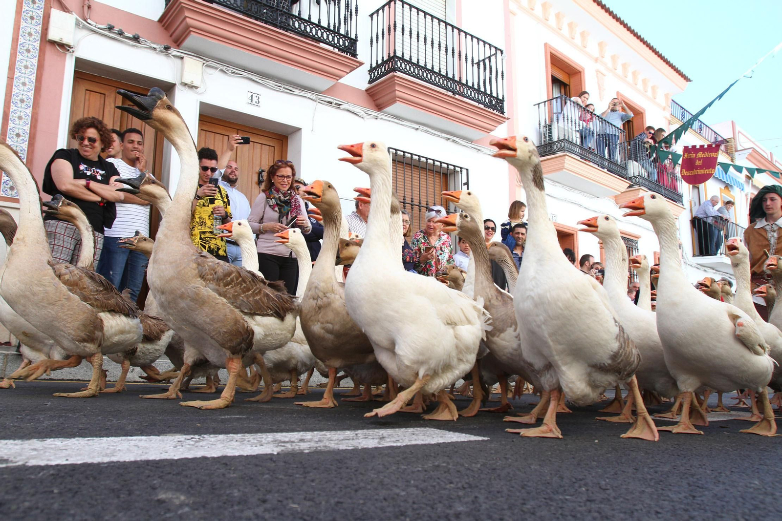 Imágenes del desfile de la XIX Feria Medieval del Descubrimiento, en Palos de la Frontera