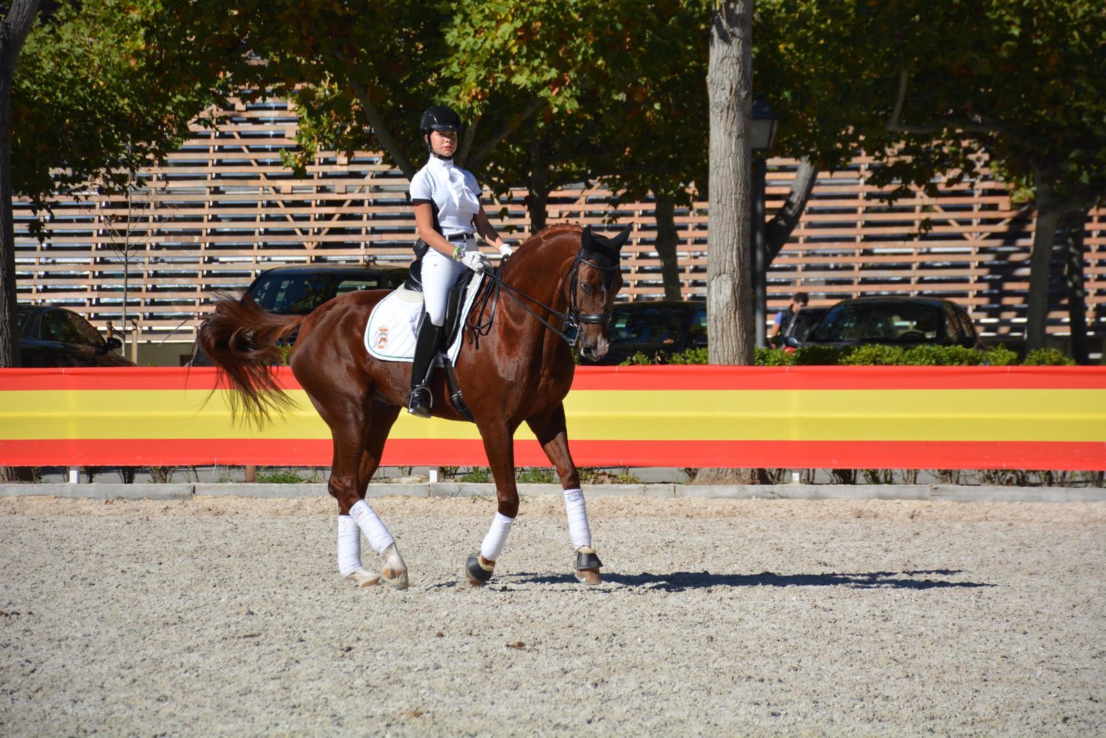 Coral Buenestado, a lomos de Fudji, durante una prueba.