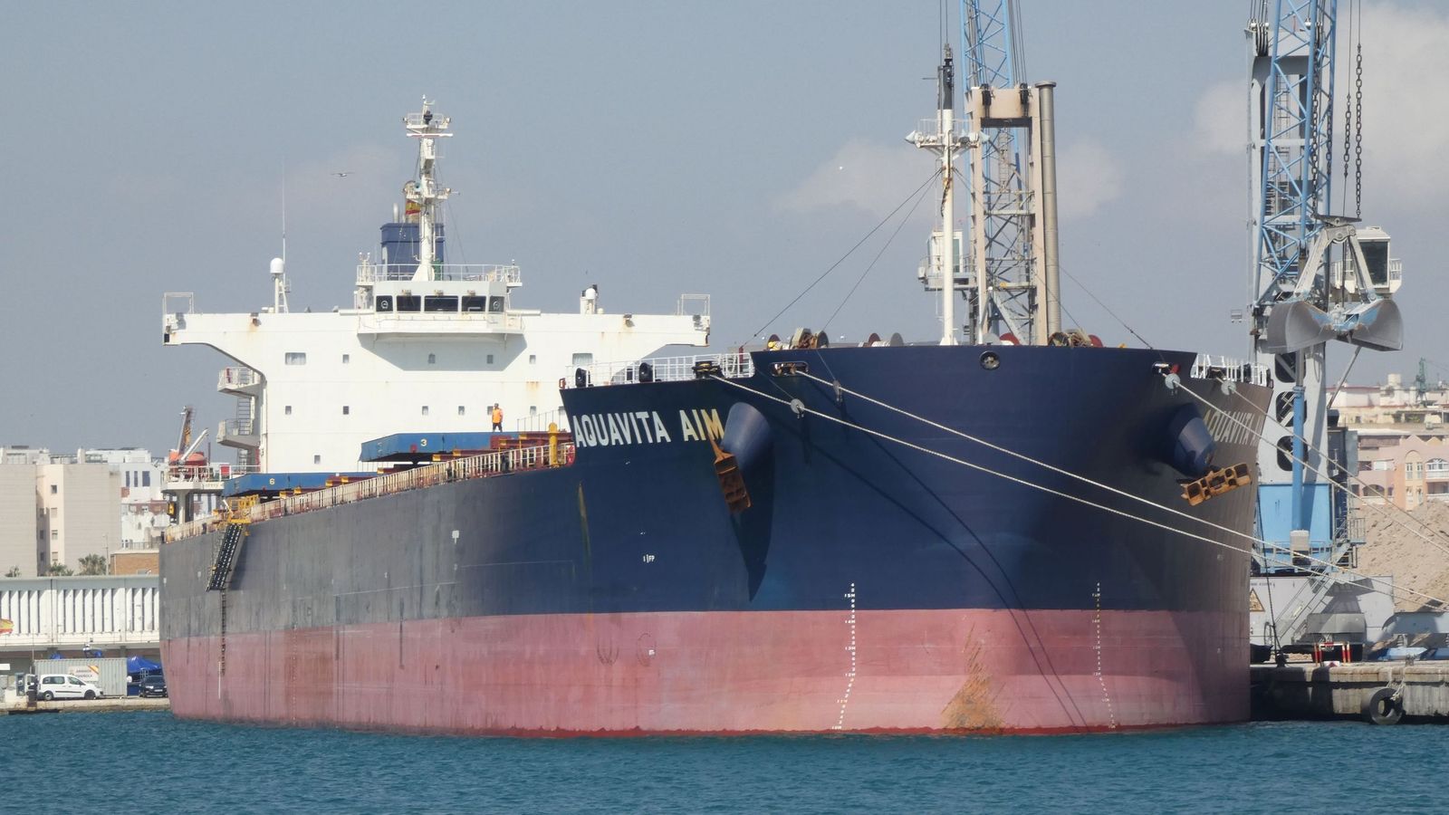AQUAVITA AIM, el mayor carguero atracado en el puerto de Málaga en 2025.