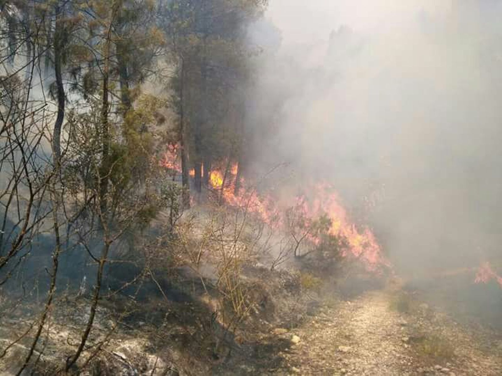 Llamas del incendio en Yeste