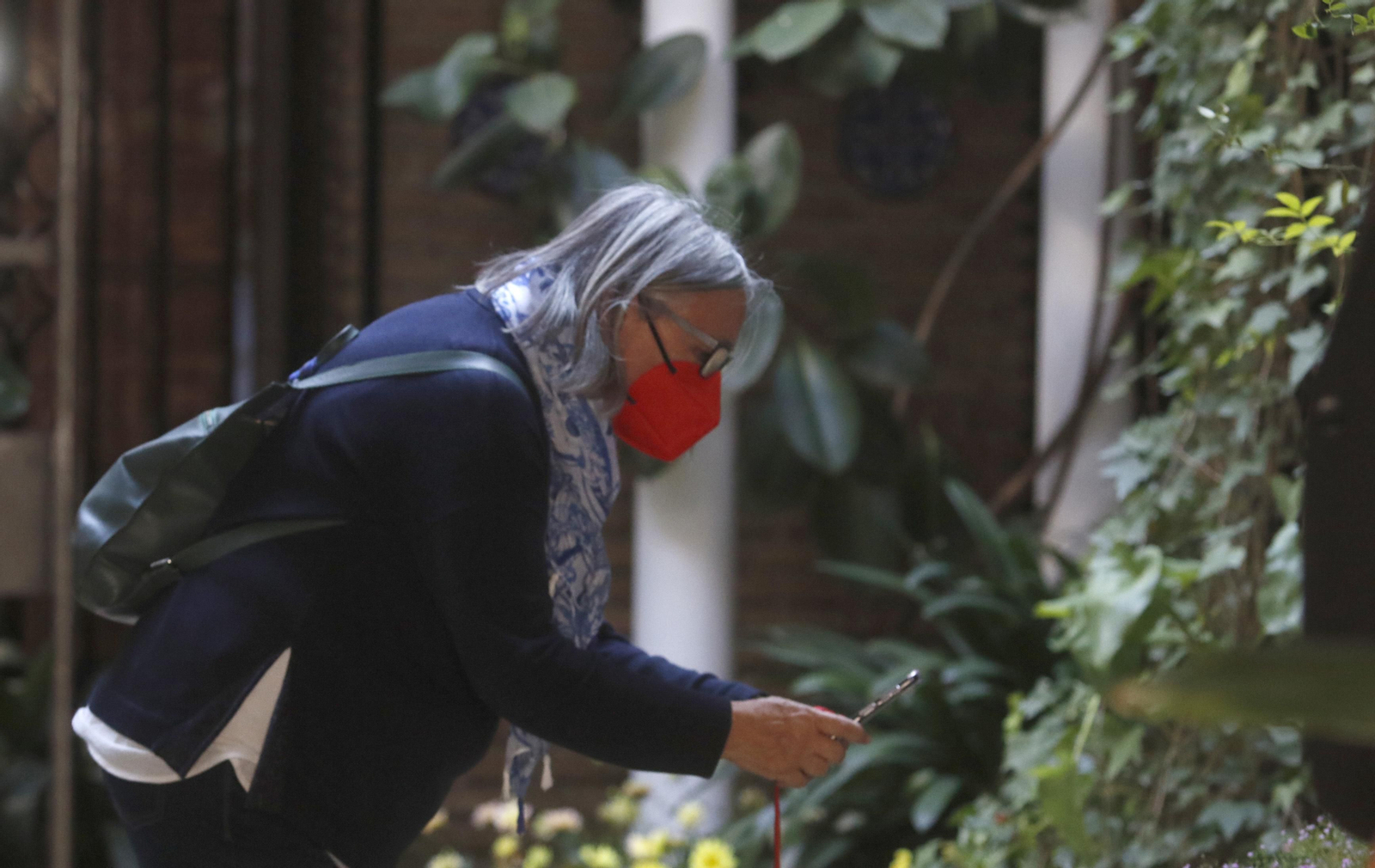 Ruta Judería - San Francisco de los Patios de Córdoba, en imágenes