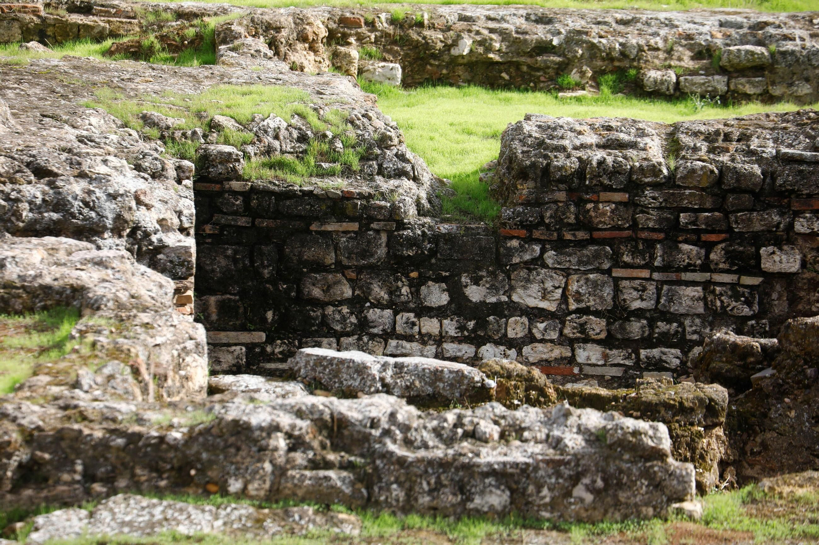 Las imágenes del estado del yacimiento de Cercadilla