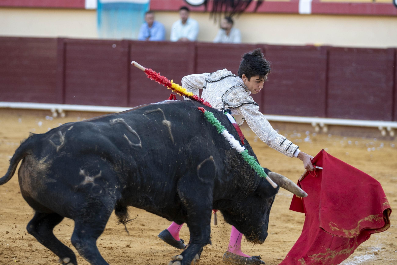 Las imágenes de los toros en Vera