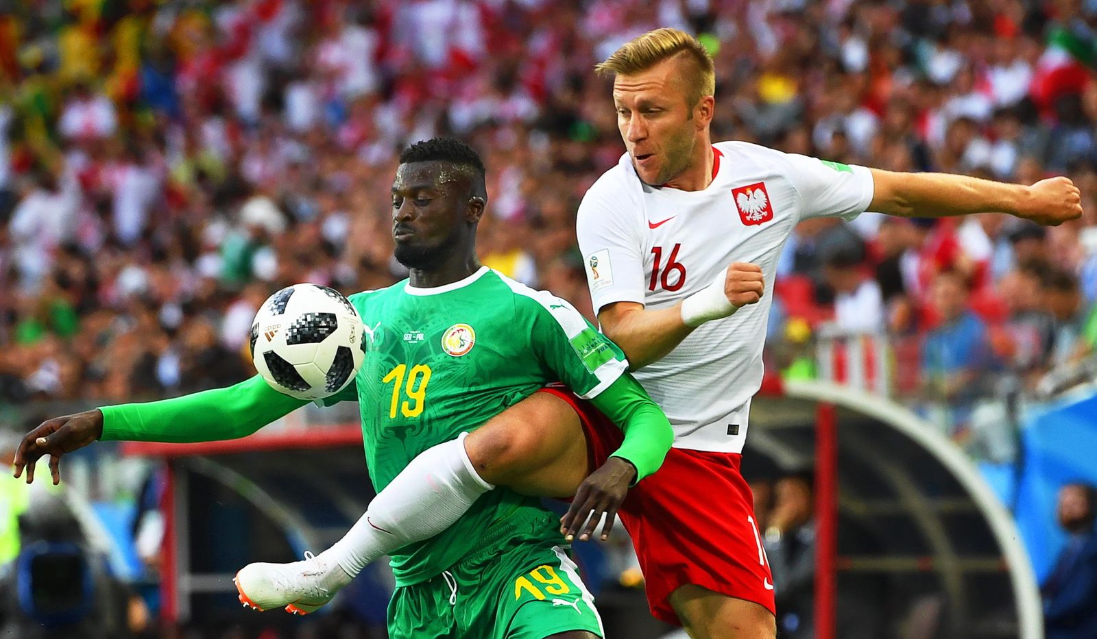 Las imágenes del Polonia-Senegal