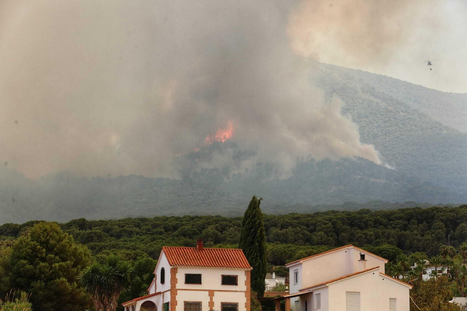 Incendio forestal en Mijas, en el paraje El Higuerón (fotos)