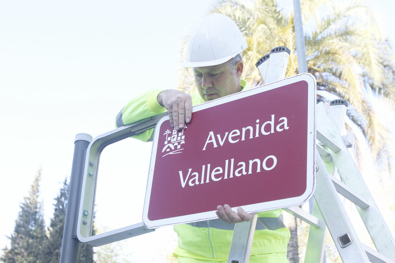 El 'regreso' de Cruz Conde y Vallellano, en fotos