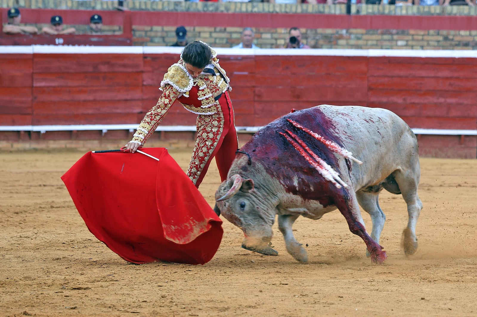 Toros La Merced: Imágenes de la corrida de David de Miranda, Roca Rey y Manzanare