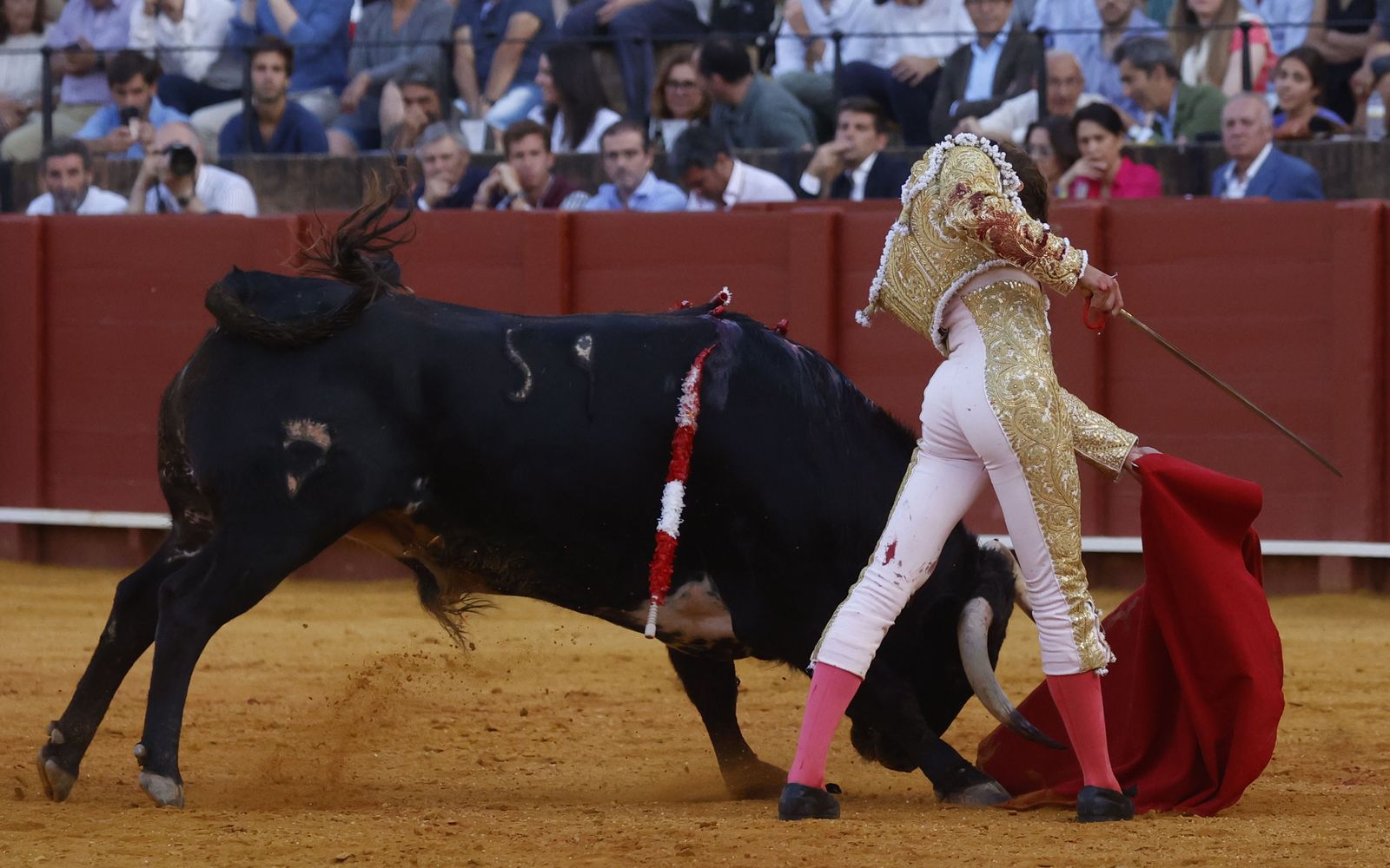 Las imágenes de la novillada en la Maestranza